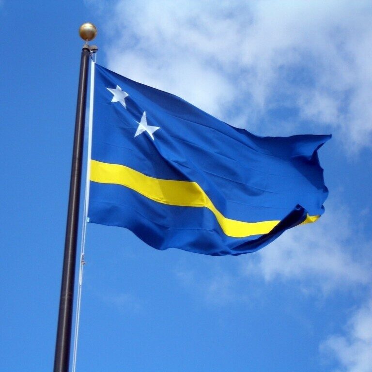 Custom flag (100x150cm)